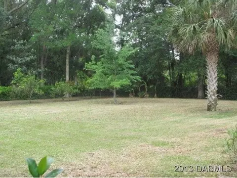 3002 Silver Palm Dr, Edgewater, FL 32141 photo 12