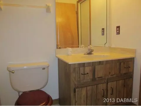 3002 Silver Palm Dr, Edgewater, FL 32141 photo 9