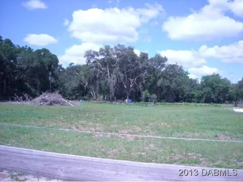 4590 Tree Top Ln, Edgewater, FL 32141 photo 16