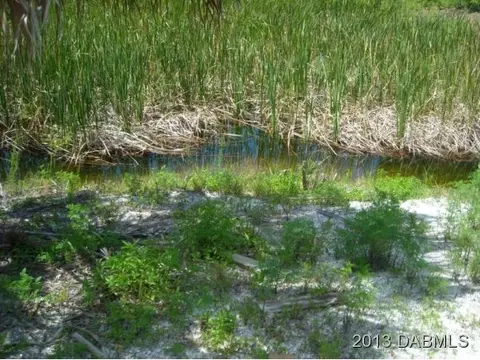 4590 Tree Top Ln, Edgewater, FL 32141 photo 20