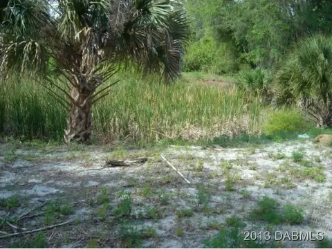 4590 Tree Top Ln, Edgewater, FL 32141 photo 19