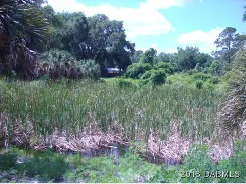 4590 Tree Top Ln, Edgewater, FL 32141 photo 23