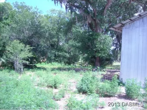 4590 Tree Top Ln, Edgewater, FL 32141 photo 3