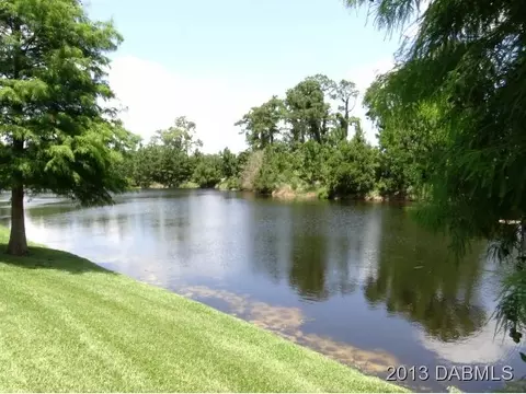 29 Grey Dapple Way, Ormond Beach, FL 32174 photo 18