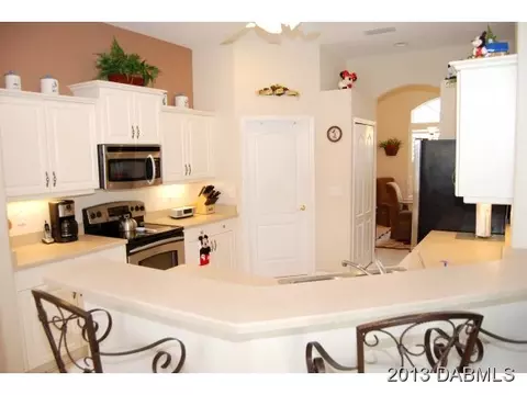 11 Ardisia Cir, Ormond Beach, FL 32174 photo 9