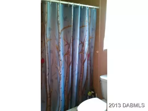3575 Bareback Trl, Ormond Beach, FL 32174 photo 13