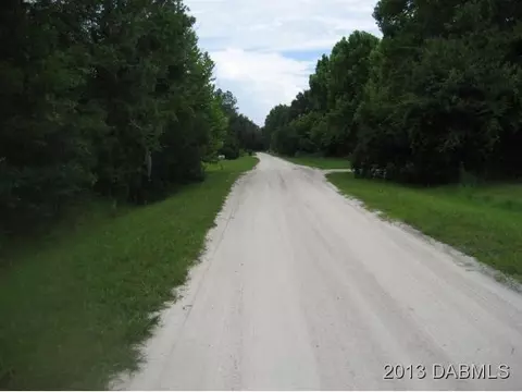 241 Bimini Ln, Bunnell, FL 32110 photo 21