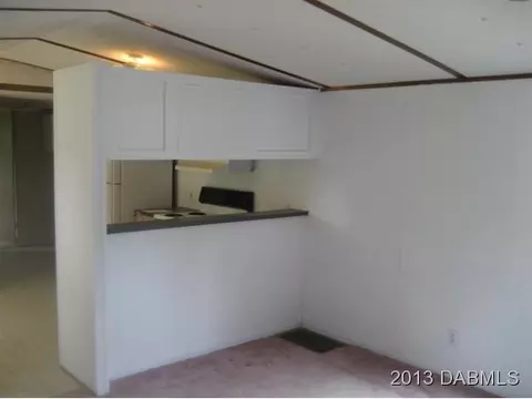 241 Bimini Ln, Bunnell, FL 32110 photo 11