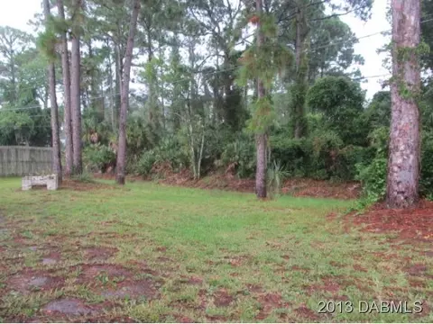 2907 Juniper Dr, Edgewater, FL 32141 photo 3