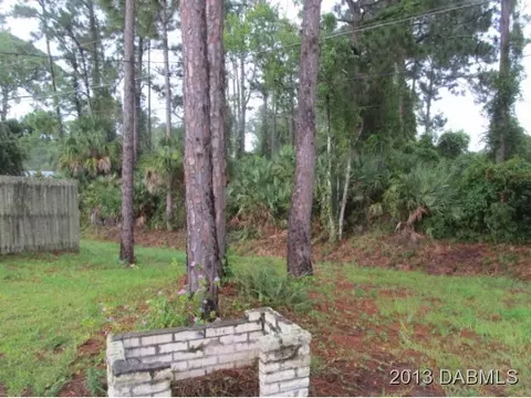 2907 Juniper Dr, Edgewater, FL 32141 photo 4