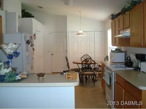 204 Tree Branch Ln, Edgewater, FL 32141 photo 12