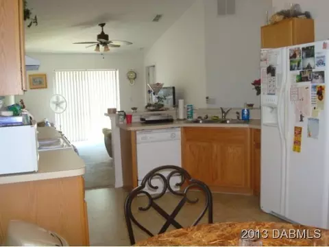204 Tree Branch Ln, Edgewater, FL 32141 photo 9
