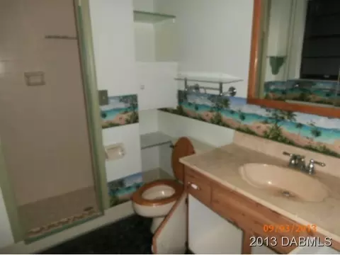 19 Brookside Cir, Ormond Beach, FL 32174 photo 13
