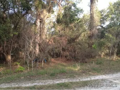 2311 Swordfish Ln, Edgewater, FL 32141 photo 3