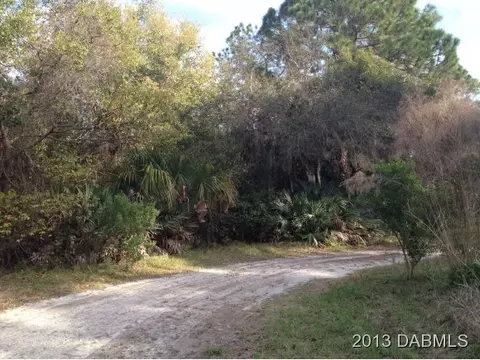 2311 Swordfish Ln, Edgewater, FL 32141 photo 4