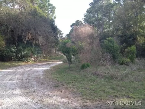 2311 Swordfish Ln, Edgewater, FL 32141 photo 2