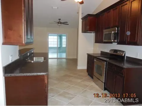3027 Needle Palm Dr, Edgewater, FL 32141 photo 3