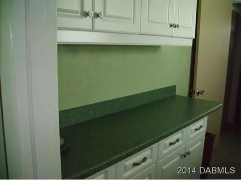 225 Ormwood Dr, Ormond Beach, FL 32176 photo 7