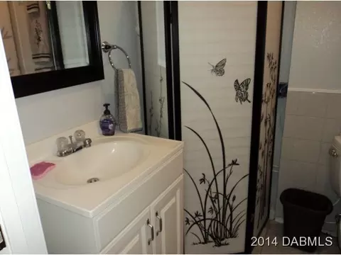 2939 Pine Tree Dr, Edgewater, FL 32141 photo 13