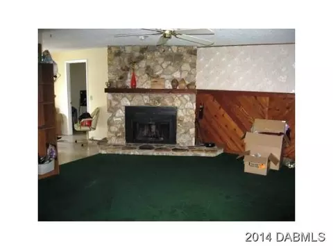 104 Palm Breeze Dr, Edgewater, FL 32141 photo 5