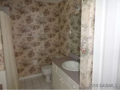 1716 Sabal Palm Dr, Edgewater, FL 32132 photo 10