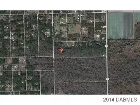 3882 Evergreen Ave, Bunnell, FL 32110 photo 1