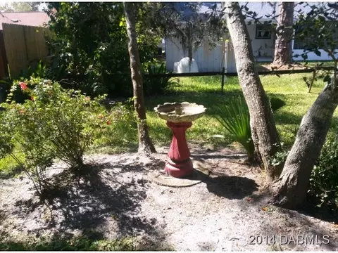 2322 Sabal Palm Dr, Edgewater, FL 32141 photo 15