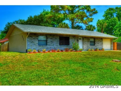 3331 Victory Palm Dr, Edgewater, FL 32141 photo 3
