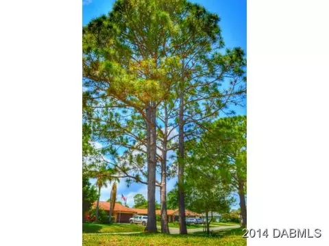 3331 Victory Palm Dr, Edgewater, FL 32141 photo 5