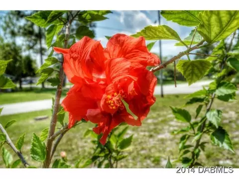3331 Victory Palm Dr, Edgewater, FL 32141 photo 6