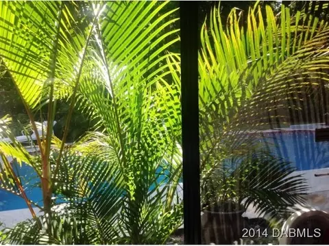 3228 Silver Palm Dr, Edgewater, FL 32141 photo 8