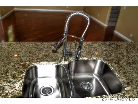 2825 Needle Palm Dr, Edgewater, FL 32141 photo 7