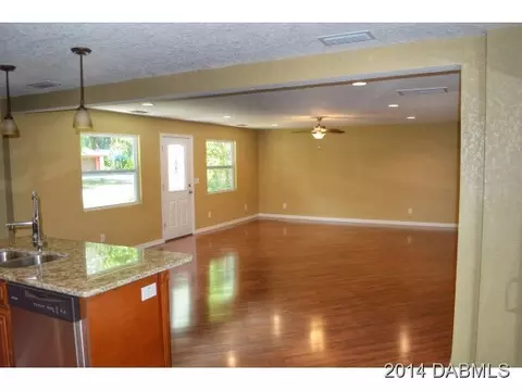 2825 Needle Palm Dr, Edgewater, FL 32141 photo 4