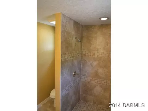 2825 Needle Palm Dr, Edgewater, FL 32141 photo 16