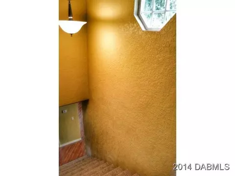 2825 Needle Palm Dr, Edgewater, FL 32141 photo 11