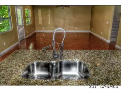 2825 Needle Palm Dr, Edgewater, FL 32141 photo 6