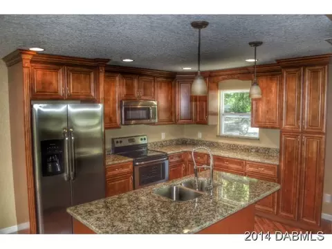2825 Needle Palm Dr, Edgewater, FL 32141 photo 5
