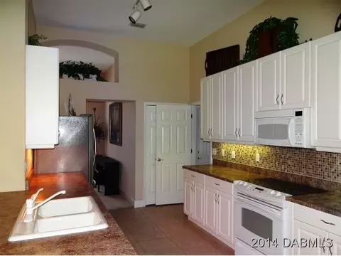 7 Black Pine Way, Ormond Beach, FL 32174 photo 9