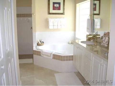 3218 Lienster Cir, Ormond Beach, FL 32174 photo 18