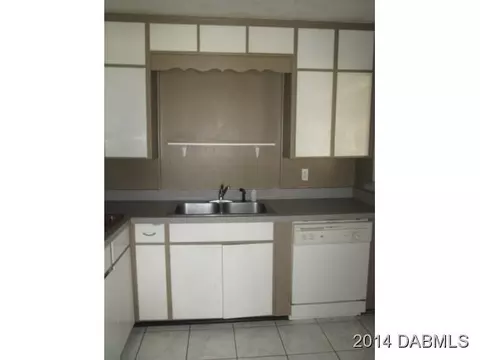 1810 Sabal Palm Dr, Edgewater, FL 32132 photo 5
