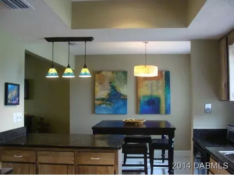 3 Sea Grape Ter, Ormond Beach, FL 32176 photo 5
