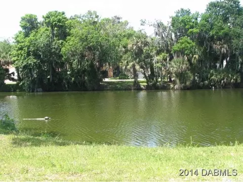 2909 Lime Tree Dr, Edgewater, FL 32141 photo 3