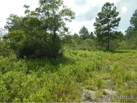 3652 Jack Pine Ln, Ormond Beach, FL 32174 photo 6