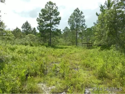 3652 Jack Pine Ln, Ormond Beach, FL 32174 photo 2