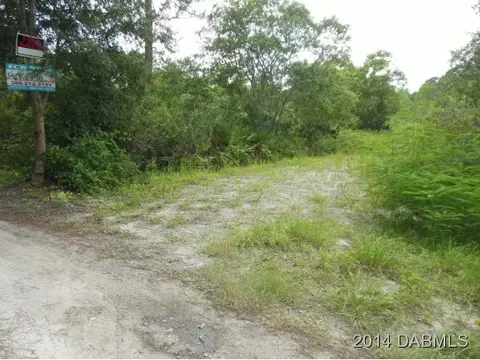 3652 Jack Pine Ln, Ormond Beach, FL 32174 photo 3