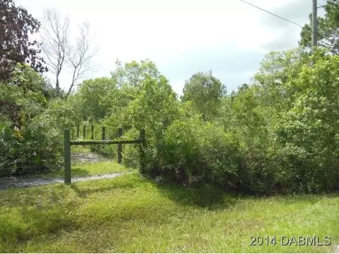 3652 Jack Pine Ln, Ormond Beach, FL 32174 photo 5