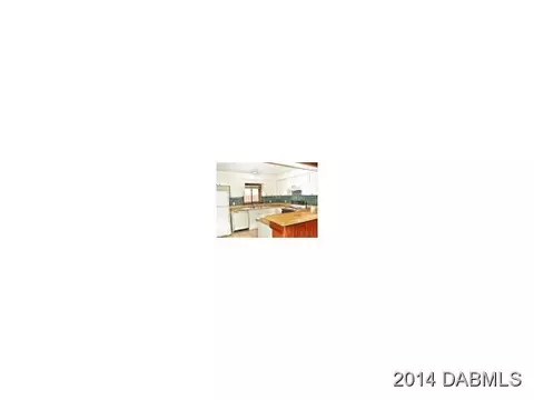 2426 Silver Palm Dr, Edgewater, FL 32141 photo 5