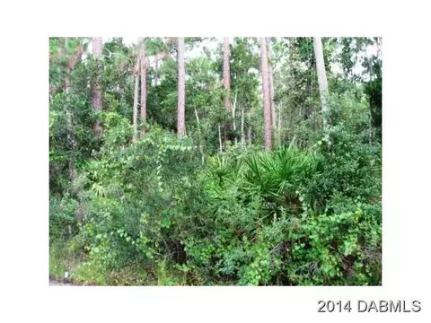 172 Conifer Ln, Ormond Beach, FL 32174 photo 2