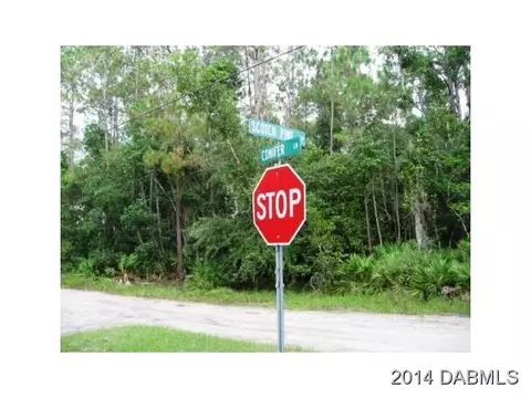 172 Conifer Ln, Ormond Beach, FL 32174 photo 4