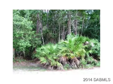 172 Conifer Ln, Ormond Beach, FL 32174 photo 1